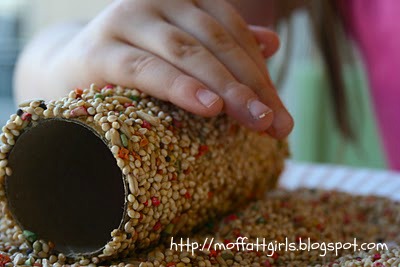 toilet paper roll crafts 10