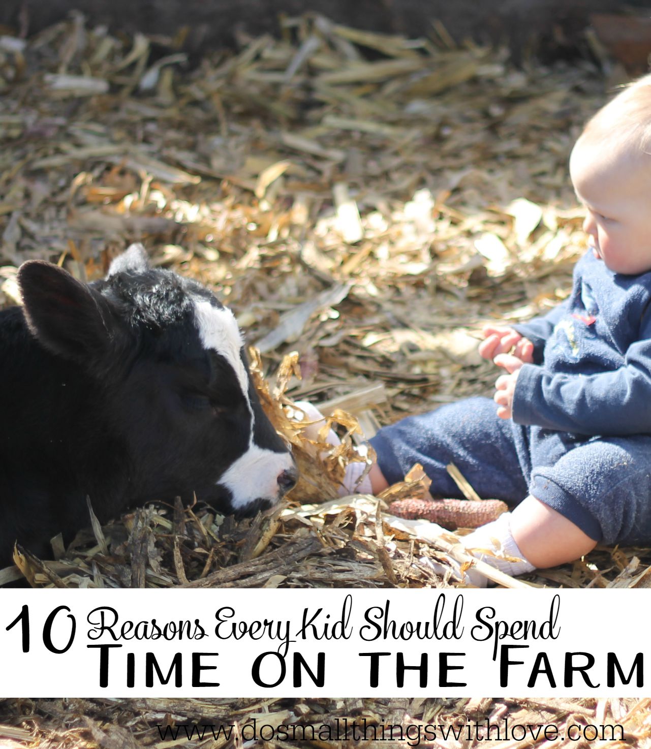 10 reasons every kid should spend some time on the farm