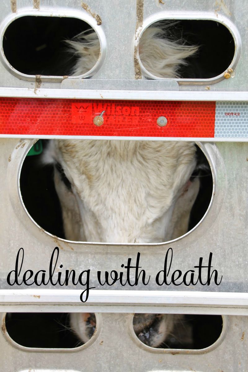 7 dealing with death on the farm