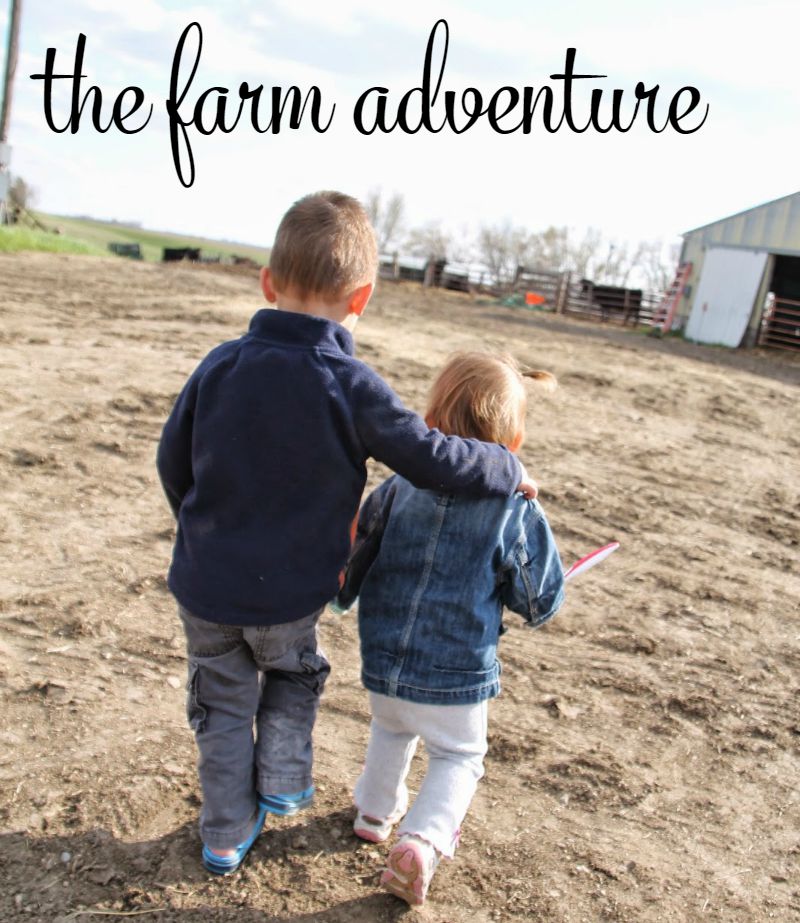9 the farm adventure